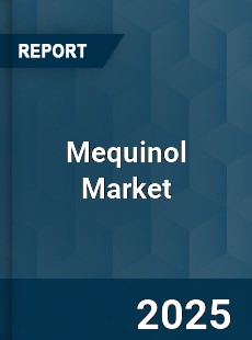 Mequinol Market Insights Global Outlook and Forecast
