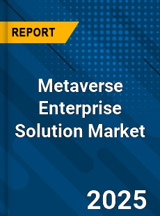 Metaverse Enterprise Solution Market