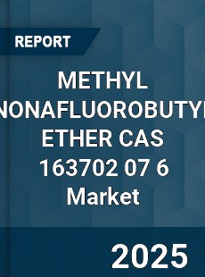 Global METHYL NONAFLUOROBUTYL ETHER CAS 163702 07 6 Industry