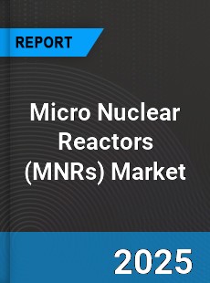 COVID 19 Outbreak Global Micro Nuclear Reactors Industry