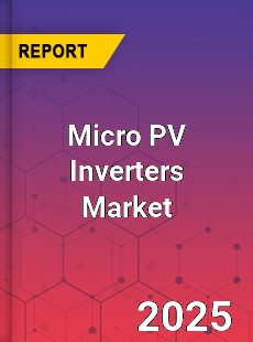 Micro PV Inverters Global and China Top Players Market