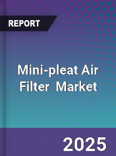 Mini pleat Air Filter Global and China Top Players Market