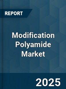 Modification Polyamide Market