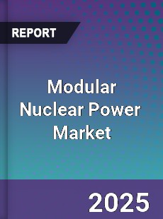 Modular Nuclear Power Global and China Top Players Market