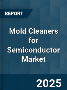 Mold Cleaners for Semiconductor Market