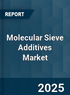 Global Molecular Sieve Additives Industry