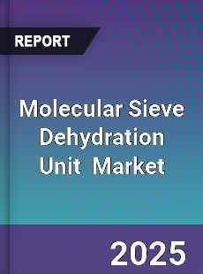 Global Molecular Sieve Dehydration Unit Industry