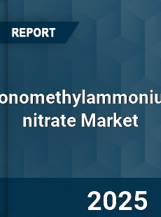 Monomethylammonium nitrate Market