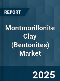 Global Montmorillonite Clay Industry
