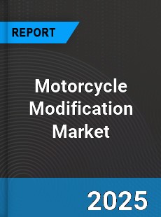 Motorcycle Modification Global and China Top Players Market