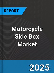 Global Motorcycle Side Box Market