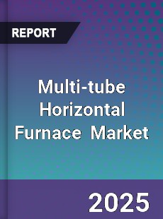 Global Multi tube Horizontal Furnace Industry