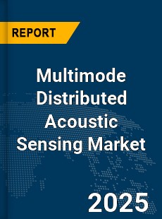 Global Multimode Distributed Acoustic Sensing Market