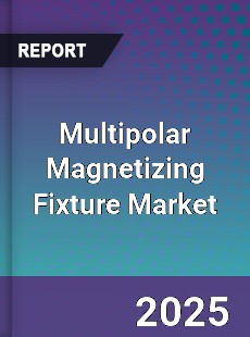 Multipolar Magnetizing Fixture Market