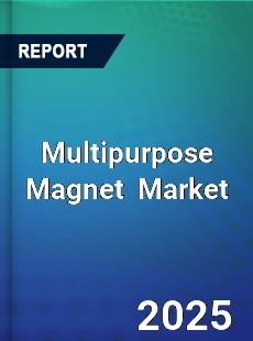 Global Multipurpose Magnet Industry