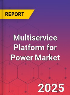 Multiservice Platform for Power Market
