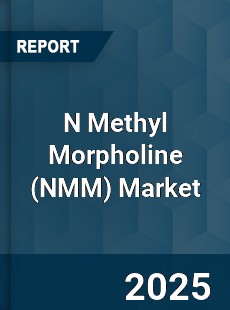 Global N Methyl Morpholine Market