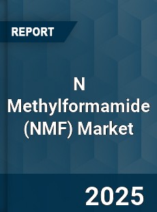 N Methylformamide Market