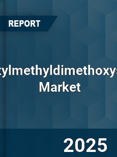 Global N Octylmethyldimethoxysilane Industry