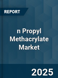 Global n Propyl Methacrylate Market
