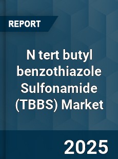 Global N tert butyl benzothiazole Sulfonamide Market