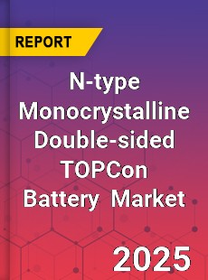Global N type Monocrystalline Double sided TOPCon Battery Industry