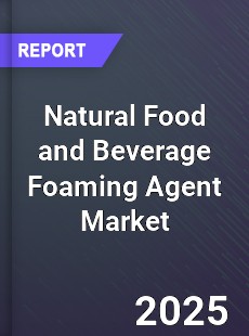 Global Natural Food and Beverage Foaming Agent Market