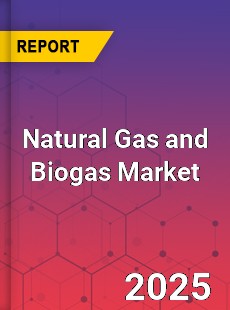 Global Natural Gas and Biogas Market