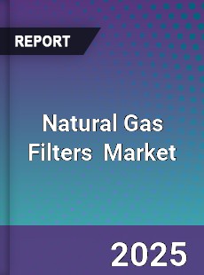 Natural Gas Filters Global and China Top Players Market