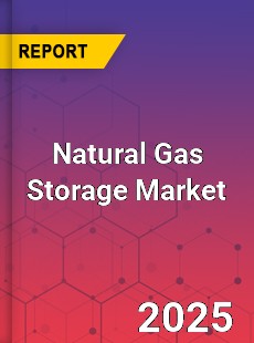 COVID 19 Outbreak Global Natural Gas Storage Industry