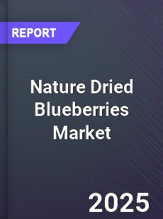 Global Nature Dried Blueberries Market