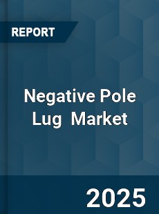 Negative Pole Lug Global and China Top Players Market