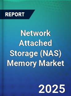 Global Network Attached Storage Memory Market