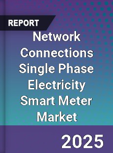 Global Network Connections Single Phase Electricity Smart Meter Market