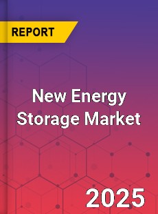 Global New Energy Storage Market