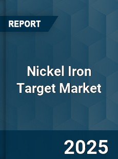 Global Nickel Iron Target Market