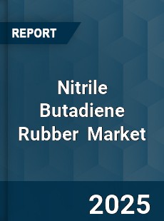 Global Nitrile Butadiene Rubber Market