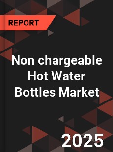 Global Non chargeable Hot Water Bottles Market