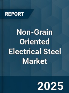 Global Non Grain Oriented Electrical Steel Market