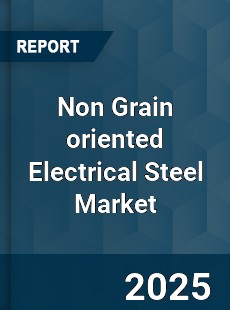 COVID 19 Outbreak Global Non Grain oriented Electrical Steel Industry