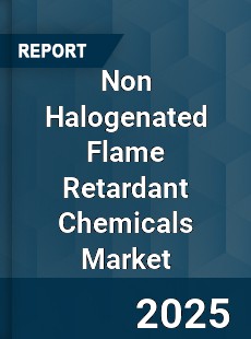 Global Non Halogenated Flame Retardant Chemicals Market
