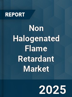 Global Non Halogenated Flame Retardant Industry