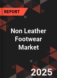 Global Non Leather Footwear Market