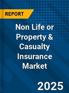 Global Non Life or Property amp Casualty Insurance Market