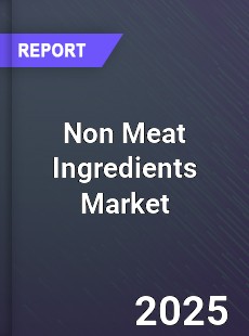 Worldwide Non Meat Ingredients Market