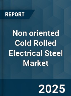 Global Non oriented Cold Rolled Electrical Steel Market