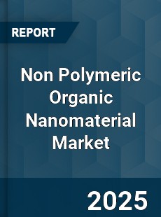 Non Polymeric Organic Nanomaterial Global Market