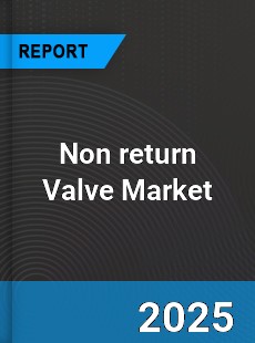 Global Non return Valve Market