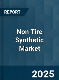 Global Non Tire Synthetic Market