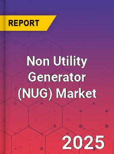 Non Utility Generator Market